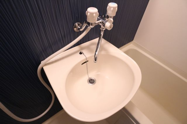 グラシア高丸の洗面所