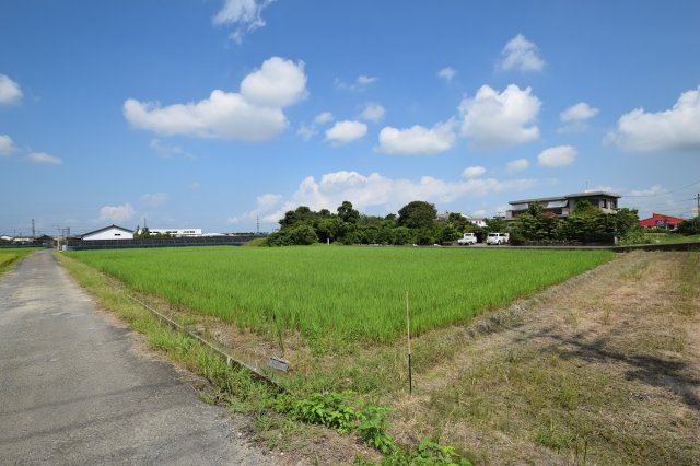 川田町東土地の外観