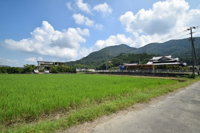 川田町東土地の外観
