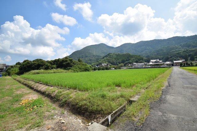 川田町東土地の外観