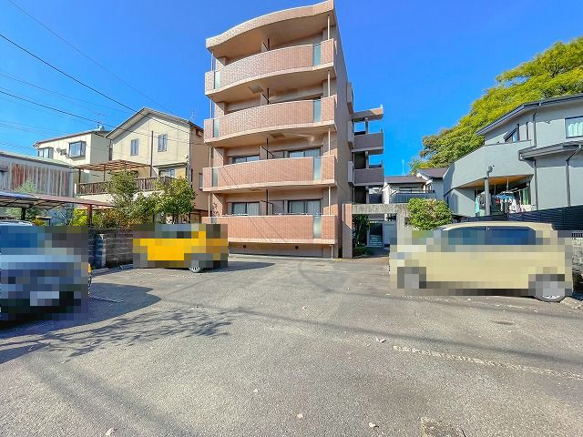 山帰来