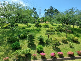 【展望】 | 緑豊かな住環境です
