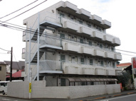 パイオニアヴィーナスの画像