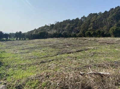 【外観】 | 東大村２丁目 土地 | ※農地転用が必要です