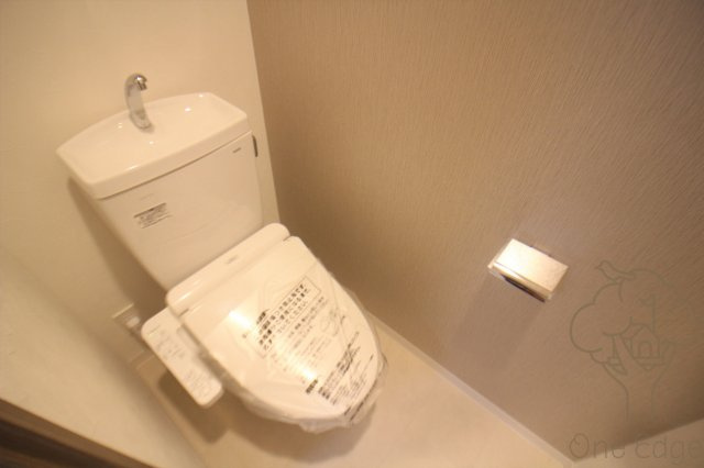 グランデセレジェイラ北梅田ミラージュのトイレ