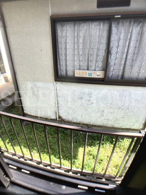 【展望】 | WOSS