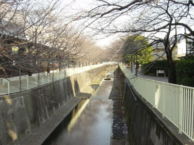 【周辺】 | 高井戸東2丁目住宅