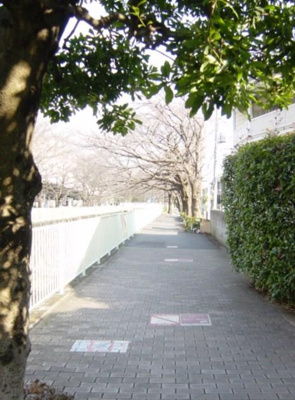 【周辺】 | 高井戸東2丁目住宅