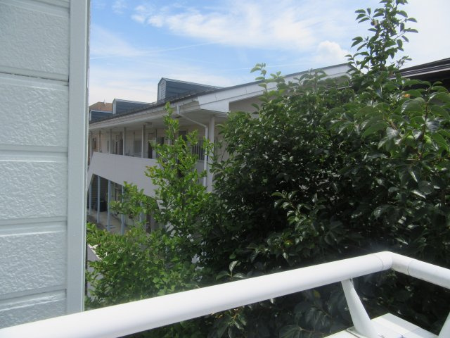 クリスタルハイツ（城西）の展望