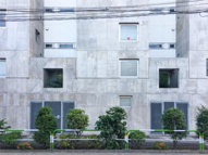 ｂｌｏｃｃｏ（ブロッコ）の画像