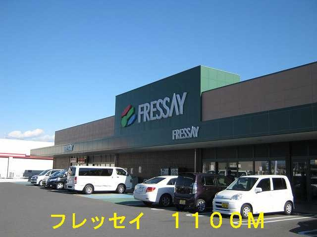 【周辺】 | ステディールーツ | フレッセイまで1100m