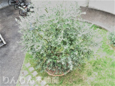 【庭】 | メゾンオレンジ2 | お庭の付いた物件です