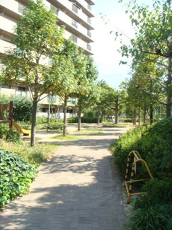 【その他共用部分】 | 敷地内緑が多い