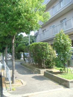 【その他共用部分】 | 敷地内緑が多く、自然が溢れてます