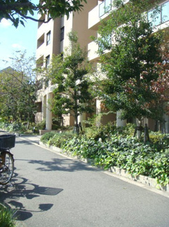 【前面道路含む現地写真】 | ☆マンションアプローチ☆