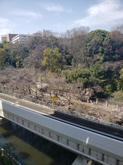 玄関側☆神田川の桜がキレイに見えます☆