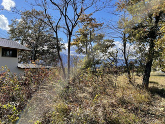 【外観】 | 敷地は比較的平坦です。