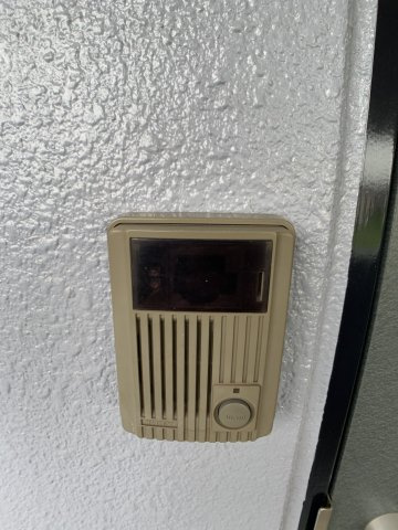 ラフィック・Ｔのその他