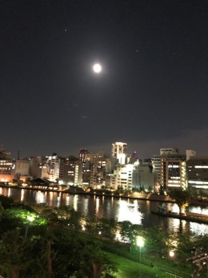 【展望】 | セレッソコート中之島公園 | 素敵な夜景もお楽しみいただけます。