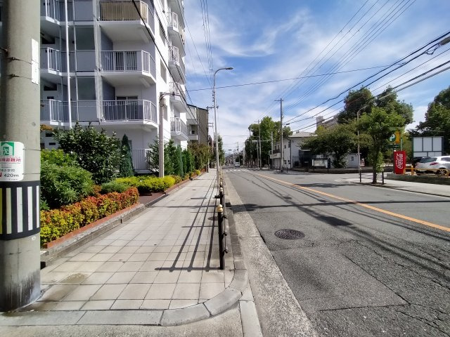中本公園スカイハイツの周辺|周辺道路です。