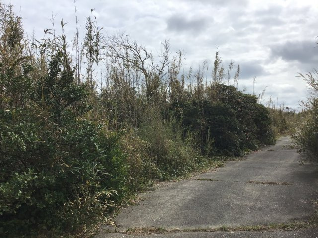 【外観】の画像