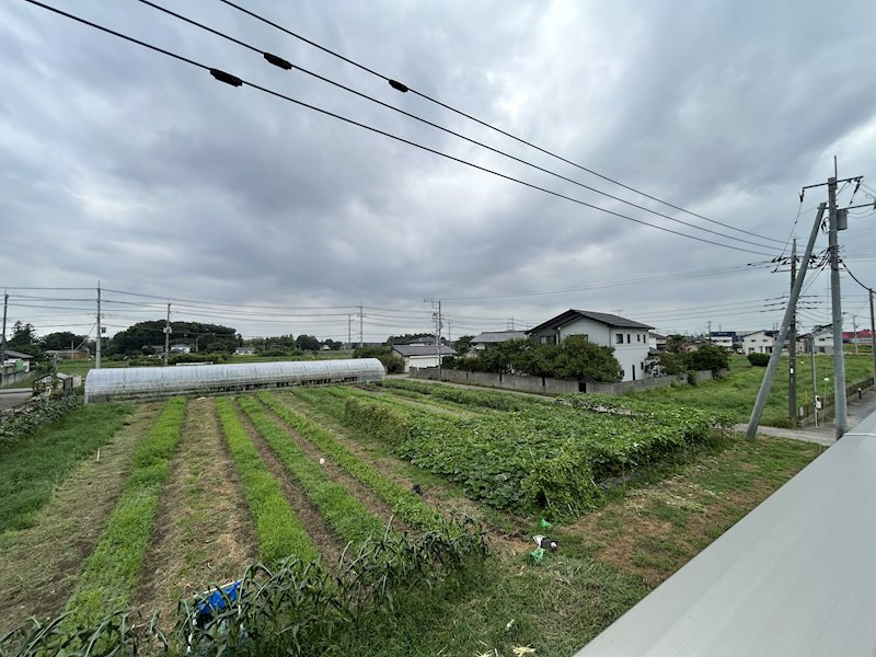 Oliveの展望