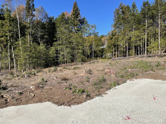 【外観】 | A区画（約273坪）