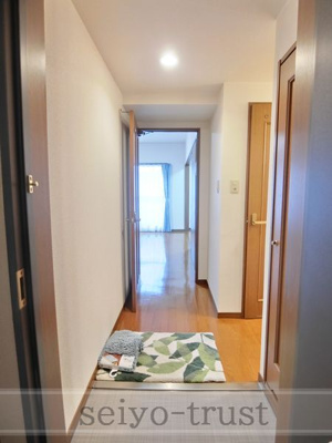 【展望】 | Marionette X