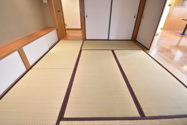 フラッツ志香