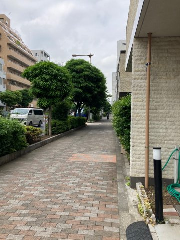 ラグジュアリーレジデンス新宿の外観