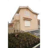 コモンドールの画像