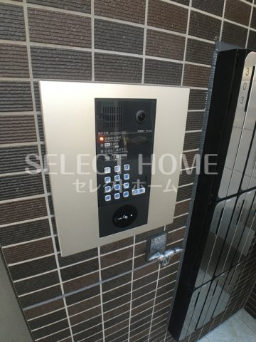 | ドッグパウズ戸崎