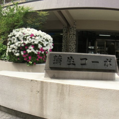 蒲生コーポの外観|築年は経過しておりますが、手入れの行き届いたマンションです。