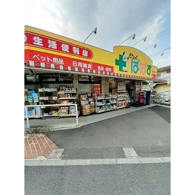 【周辺】 | フロリーレン・セキ