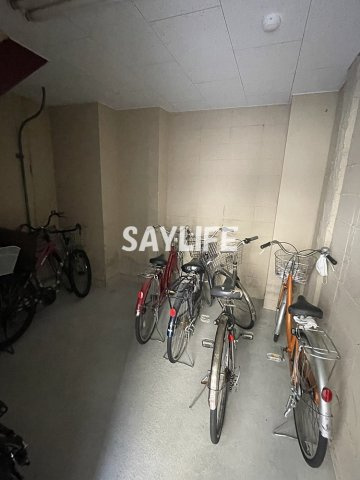 ロイヤルシャトー雅のその他共用部分