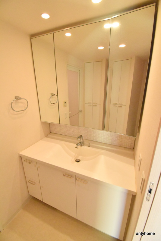 プラウド江坂　仲介手数料無料の洗面所