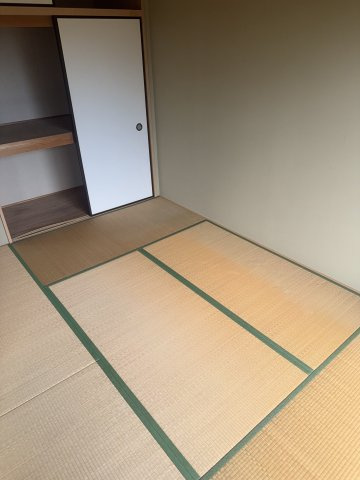  | MS,フリージア