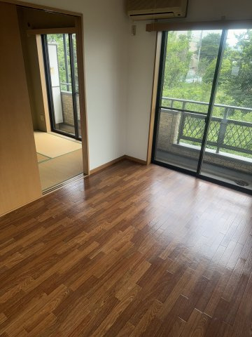  | MS,フリージア