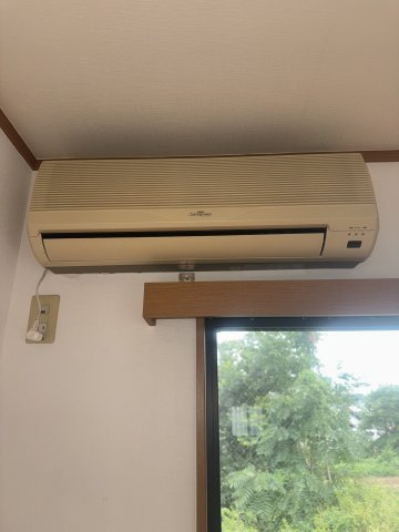  | MS,フリージア