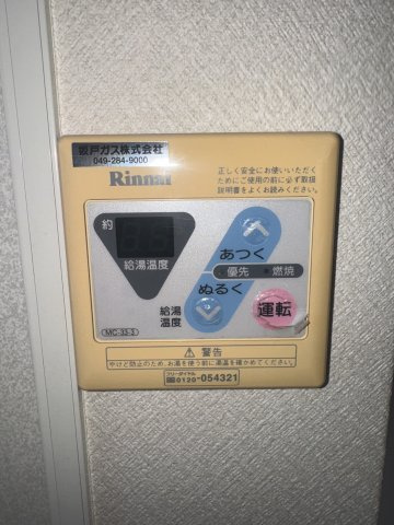  | MS,フリージア