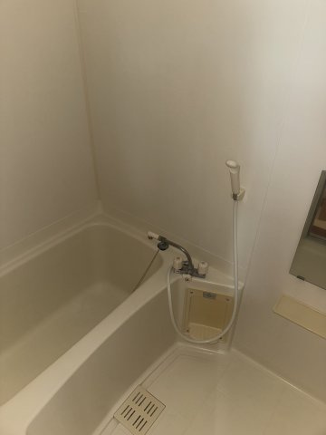  | MS,フリージア