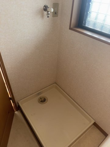  | MS,フリージア