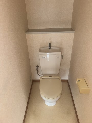  | MS,フリージア