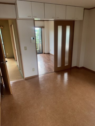  | MS,フリージア