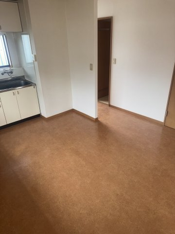  | MS,フリージア