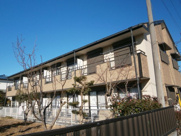 MS,フリージアの画像