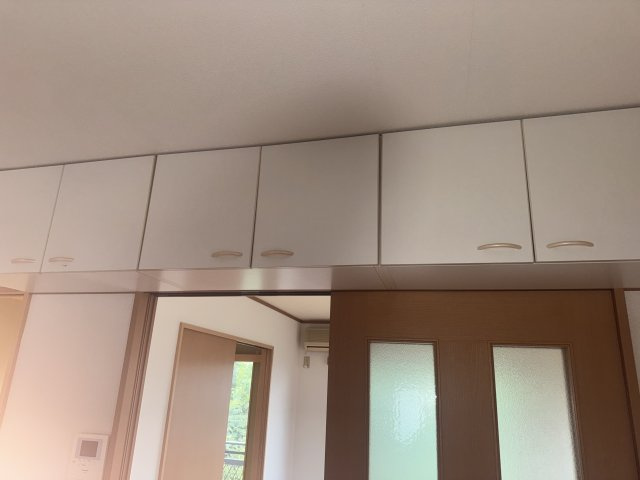  | MS,フリージア