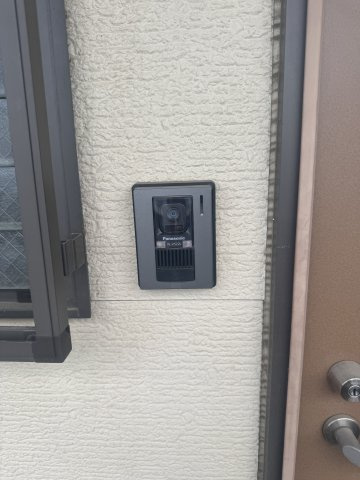  | MS,フリージア