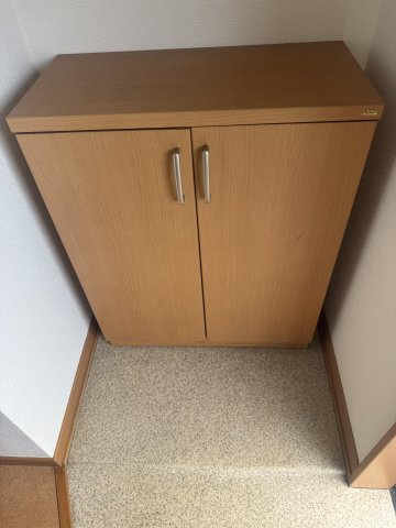  | MS,フリージア