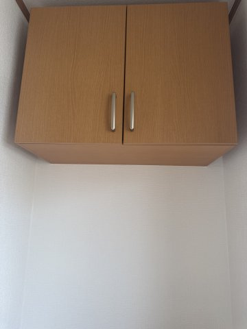  | MS,フリージア